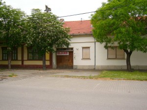 P1130481